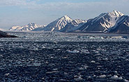 Kongs Fjord Spitsbergen