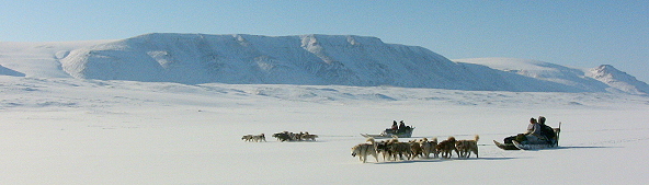 dogsledding with Eskimos