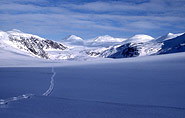 Svalbard Winter Safari