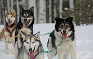 polar-travel.com,  Philippinen Reisen, travels Philippines