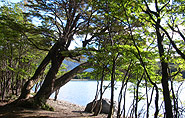 Tierra del Fuego