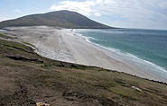 Falkland Inseln, polar-travel.com