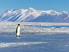 Flug Kreuzfahrt Reisen Antarktis - polar-travel.de