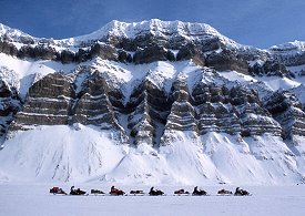 Walross polar-travel.com